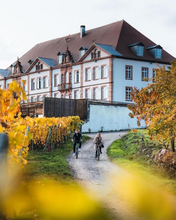 Hotel Val-Vignes Colmar Haut-Koenigsbourg, The Originals Relais Saint-Hippolyte  Exteriör bild